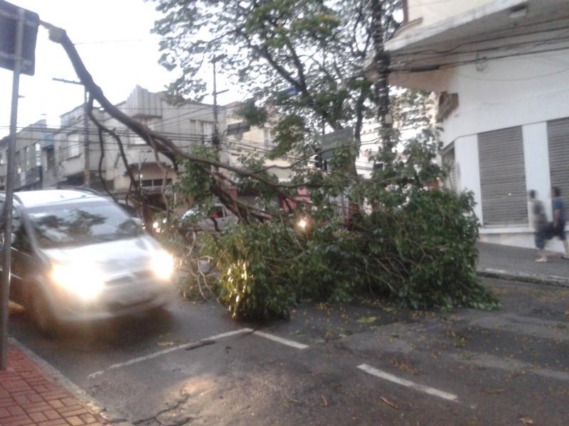 Árvore caiu sobre fios no cruzamento da Rua Cotoxó com Heitor Penteado.