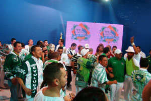Mancha Verde define|samba enredo de 2013
