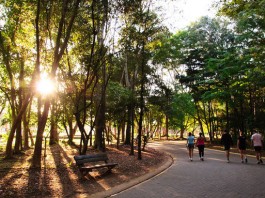 Caminhada da Memória em SP conscientiza população para Doença de Alzheimer em 24/9 no parque Villa Lobos