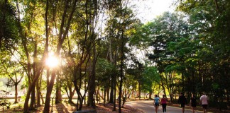 Caminhada da Memória em SP conscientiza população para Doença de Alzheimer em 24/9 no parque Villa Lobos