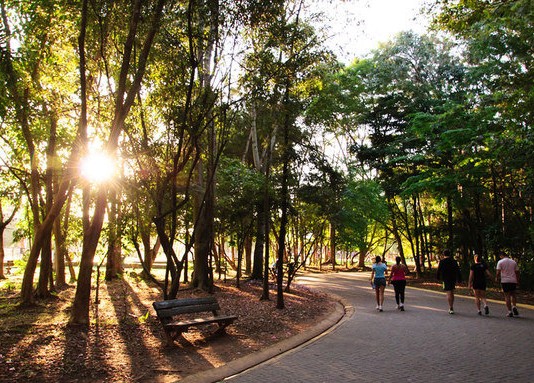 Caminhada da Memória em SP conscientiza população para Doença de Alzheimer em 24/9 no parque Villa Lobos