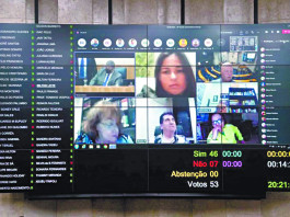 Afonso Braga/Rede Câmara