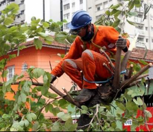 Audiência Pública define prioridade de obras e serviços na região