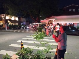 Lúcia Helena Oliveira