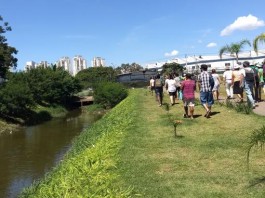 Divulgação