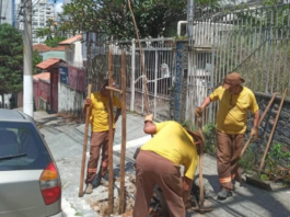 Abraço verde