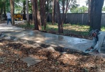 Reeleito, conselho do Parque Orlando Villas Bôas continua luta pela reabertura