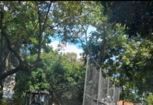 PRAÇAS:  Cyla Reimundini em fase final de revitalização