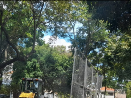PRAÇAS:  Cyla Reimundini em fase final de revitalização