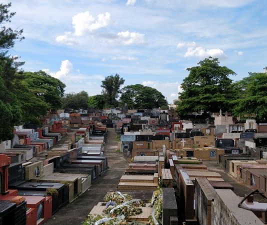 CEMITÉRIO DA LAPA: Grupo Maya promove visita com apoio de historiadora