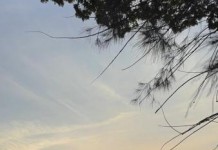 Cemitério da Lapa terá programação especial de Finados