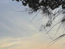 Cemitério da Lapa terá programação especial de Finados Cemitério da Lapa terá programação especial de Finados