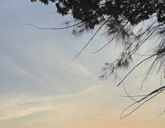 Cemitério da Lapa terá programação especial de Finados