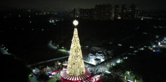 Árvore de Natal símbolo de SP é inaugurada no Parque Villa-Lobos