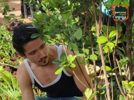 Oficina na Biblioteca Villa-Lôbos ensina a identificar ‘sabores da floresta’