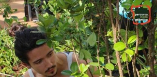 Oficina na Biblioteca Villa-Lôbos ensina a identificar ‘sabores da floresta’