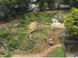 BOSQUE DOS SLESIANOS  Tribunal de Justiça determina paralisação de corte de árvores