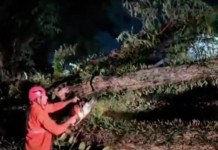 VENDAVAL  Lapa teve vento recorde entre as regiões da cidade durante ciclone, segundo CGE