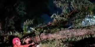 VENDAVAL  Lapa teve vento recorde entre as regiões da cidade durante ciclone, segundo CGE