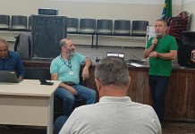 Balanço da Sub Lapa em 2025 inclui mais de 3 mil podas de árvores