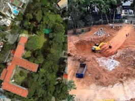 BOSQUE DOS SALESIANOS  Manifestação do MP confirma laudo do CAEX de que área pode ser recuperada