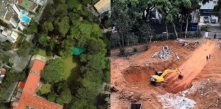 BOSQUE DOS SALESIANOS  Manifestação do MP confirma laudo do CAEX de que área pode ser recuperada