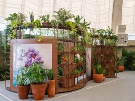Orquidário do Parque Villa-Lobos reabre após 10 anos com visitação gratuita
