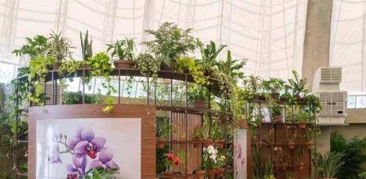 Orquidário do Parque Villa-Lobos reabre após 10 anos com visitação gratuita