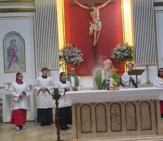 Cardeal participa de missa solene em homenagem à Nossa Senhora de Lourdes