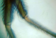 Laboratório de Invencionices diverte e educa no Sesc Pompeia