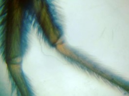 Laboratório de Invencionices diverte e educa no Sesc Pompeia