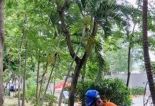 Sub Lapa faz serviços de conservação na Praça Emílio Pasetti