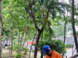 Sub Lapa faz serviços de conservação na Praça Emílio Pasetti Sub Lapa faz serviços de conservação na Praça Emílio Pasetti