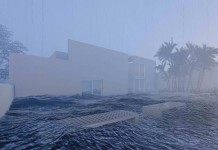 Casa de Cultura do Parque realiza mostras na área externa e fachada
