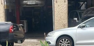 Moradores reclamam de plantação em rotatória na Rua Sepetiba