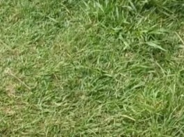 Praça Nova Lapa tem trave de futebol roubada
