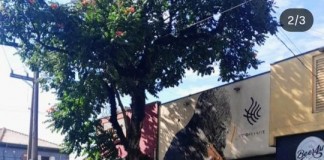 Sub Lapa remove parklet na Rua Nanuque